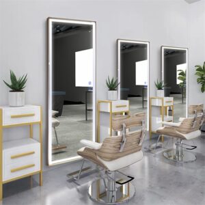 the mirror salon