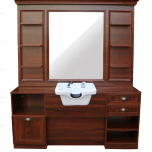 styling stations with shampoo bowls